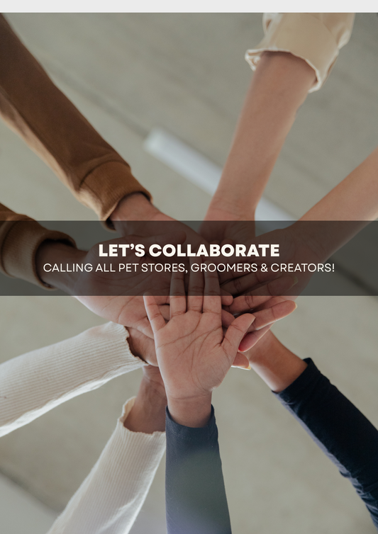 🛍️ Let’s Collaborate|Calling All Pet Stores, Groomers & Creators!