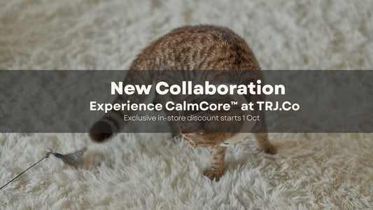 Collaboration of Miya Tails x TRJ.Co