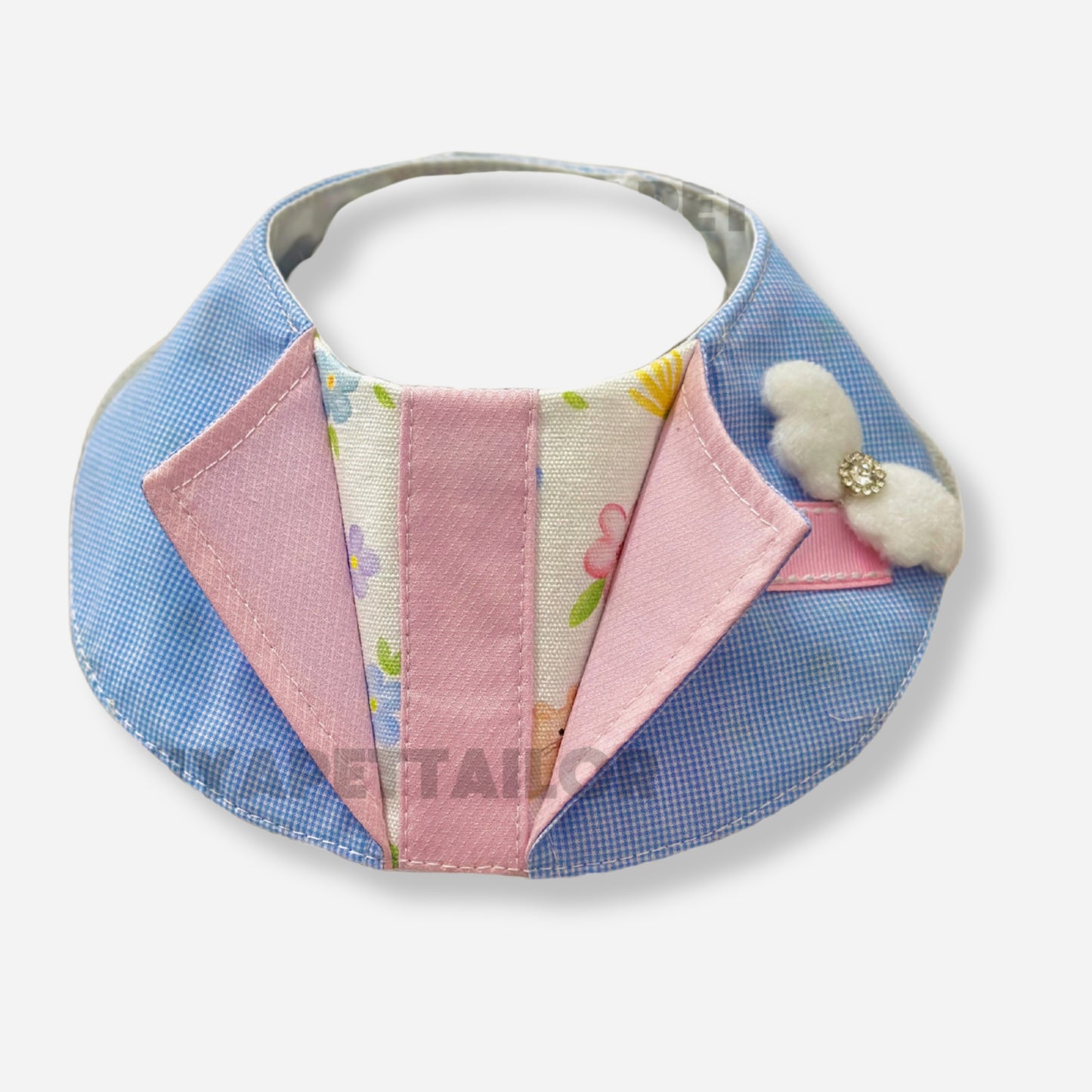 The Maine Coon's Gentleman Look