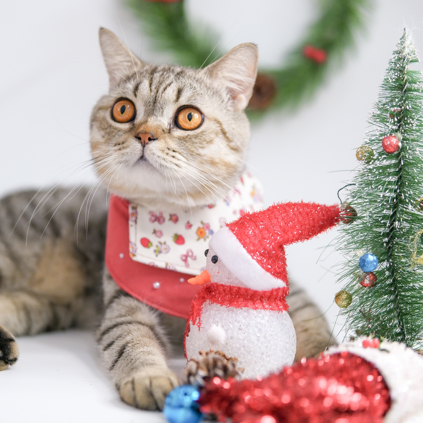 CalmCore™ · Berry Noël