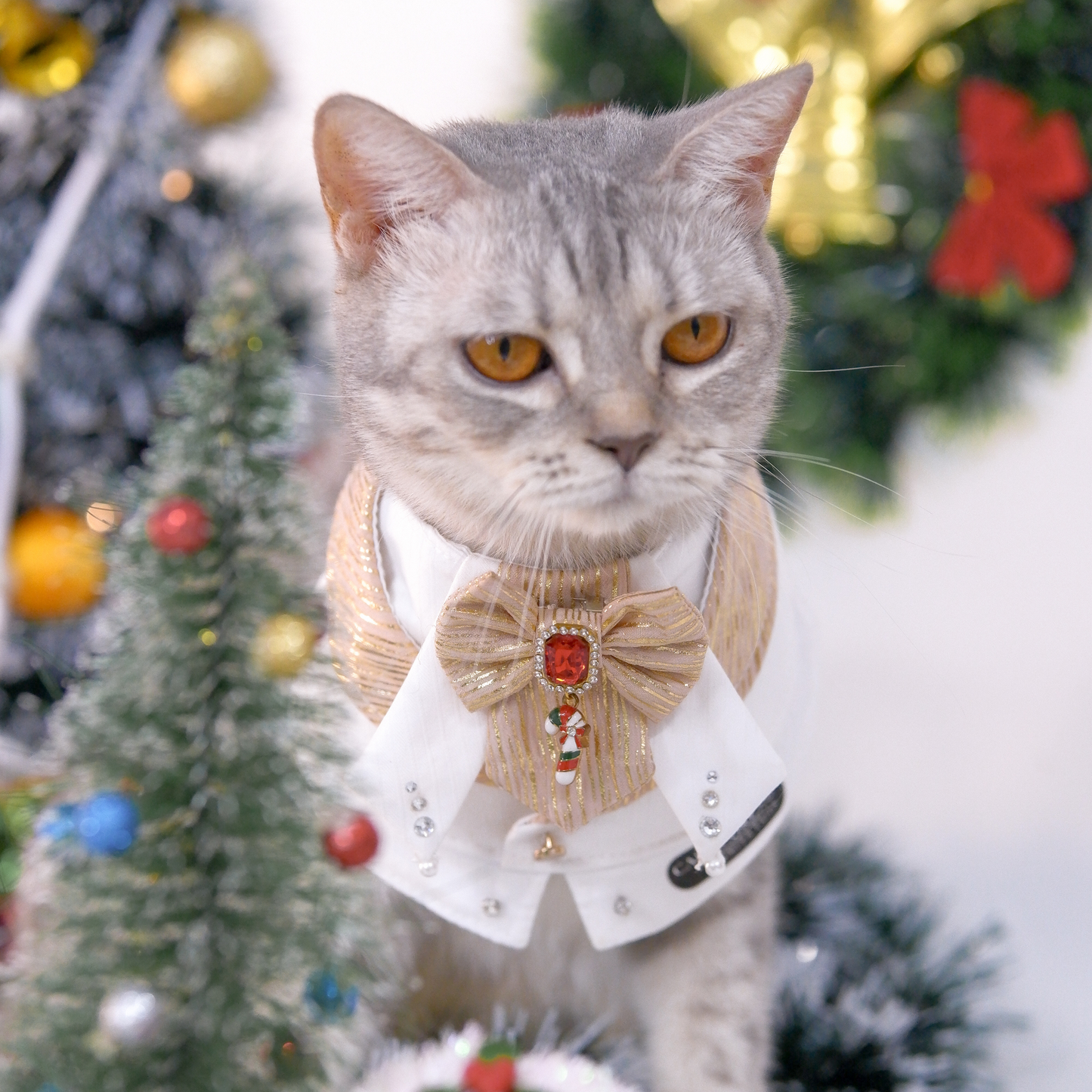 CalmCore™ · Chimson Crown