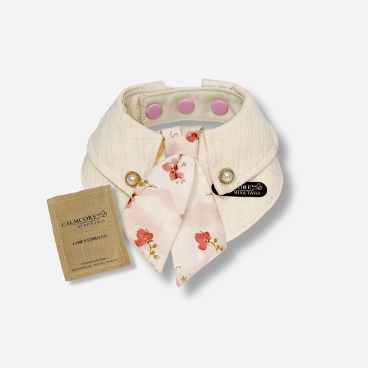 CalmCore™ First Companion Set · Dog