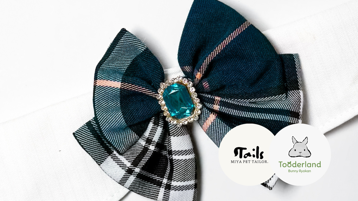 Miya tails x tooderland collaboration