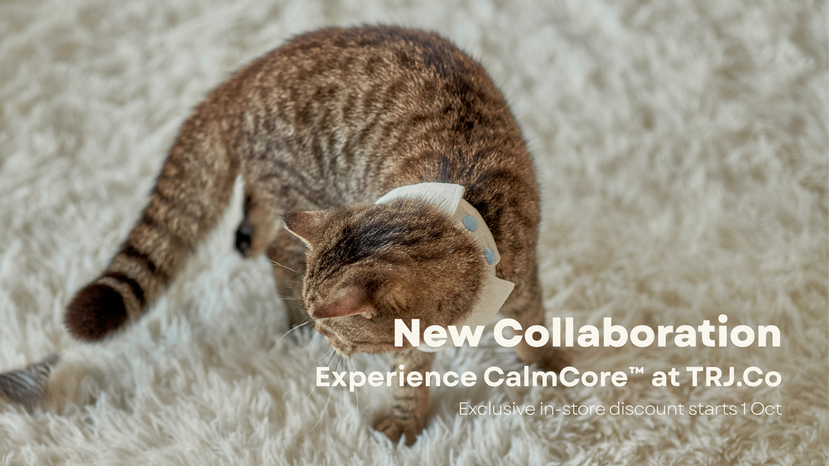 Collaboration of miya tails x trj