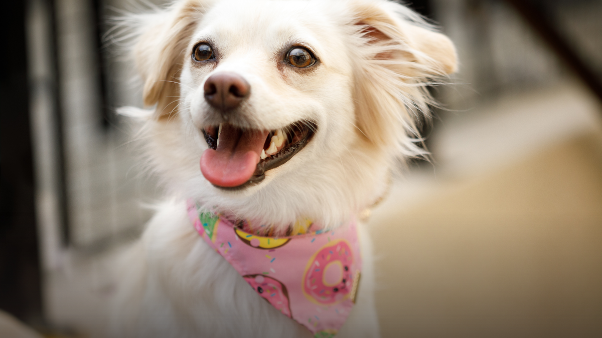 Still — but not empty