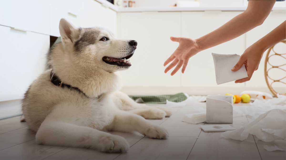 What you don’t notice still shapes them