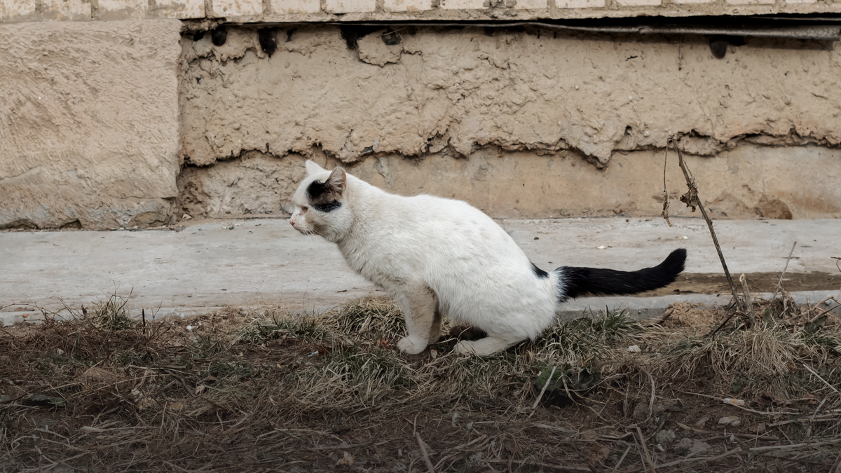 We thought it was behaviour