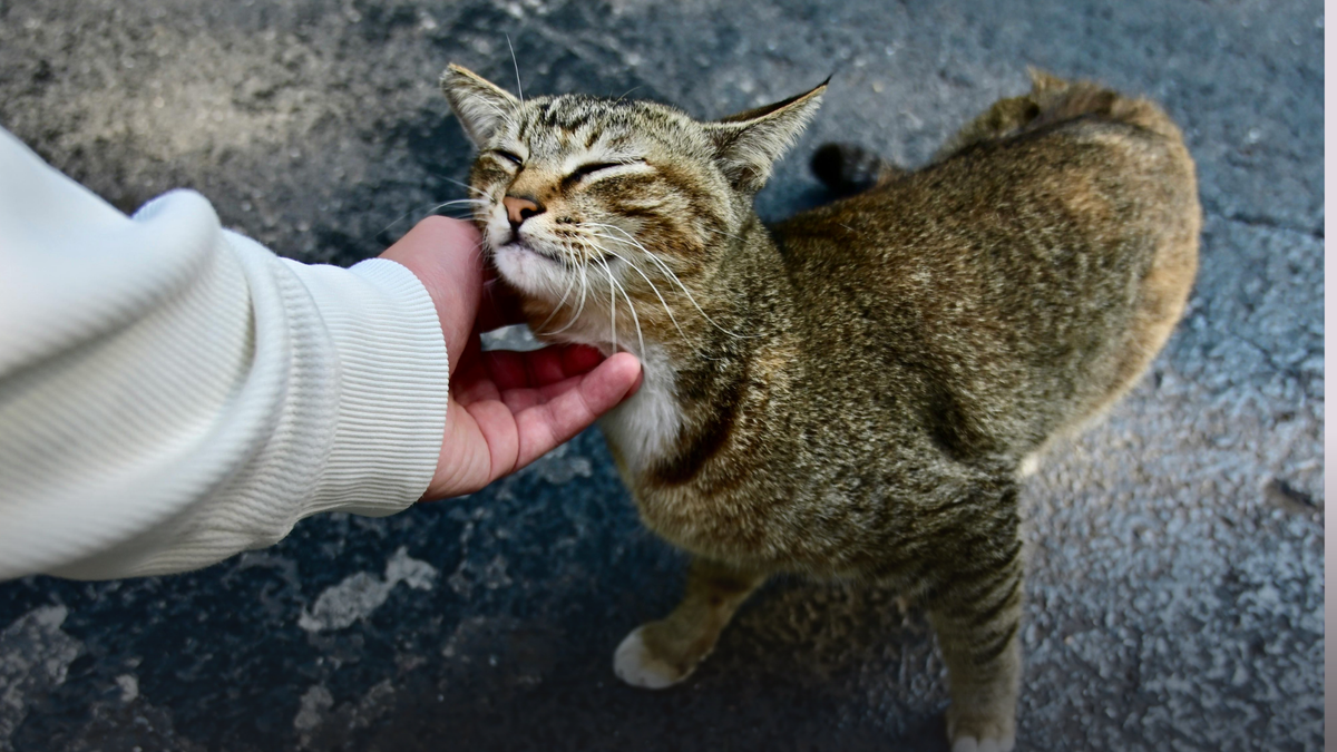 This didn’t start with a product