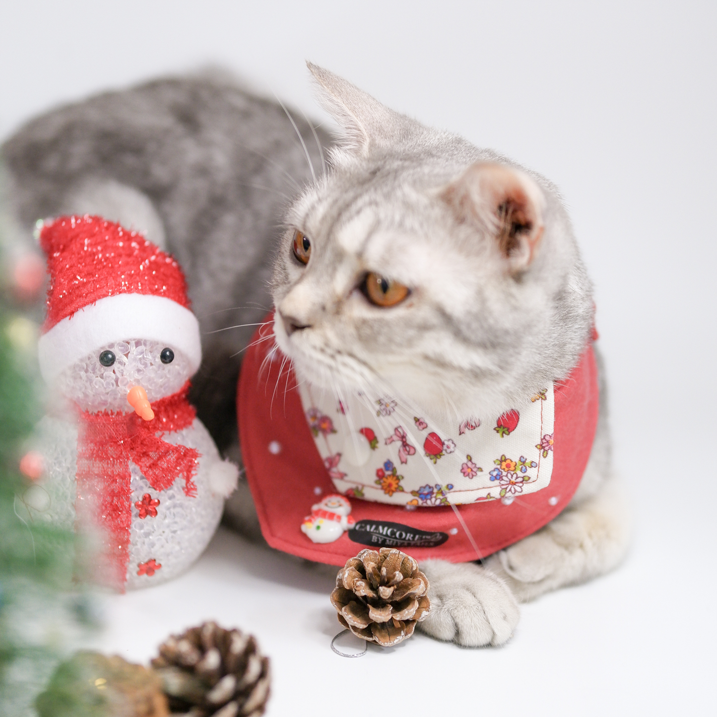 CalmCore™ · Berry Noël