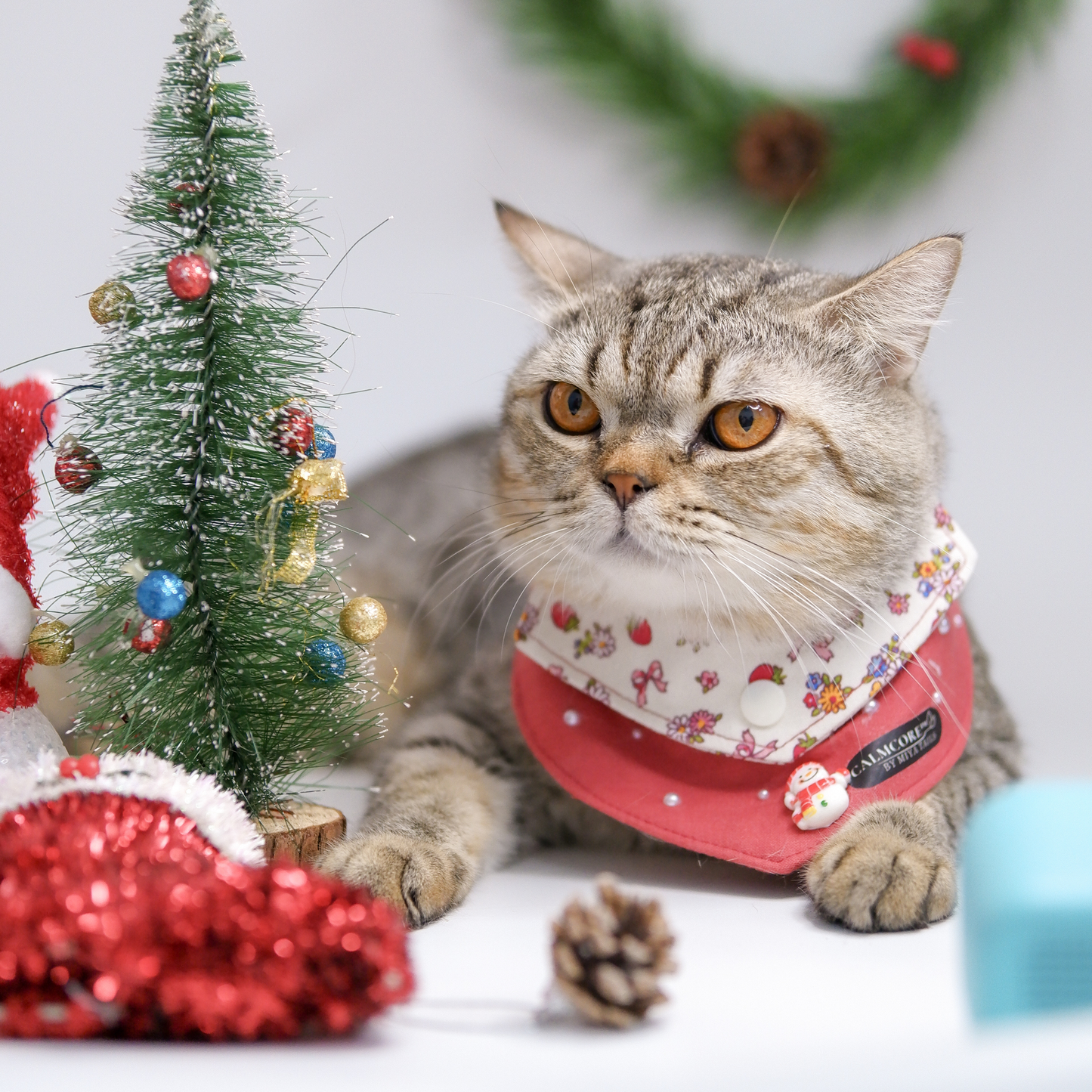 CalmCore™ · Berry Noël