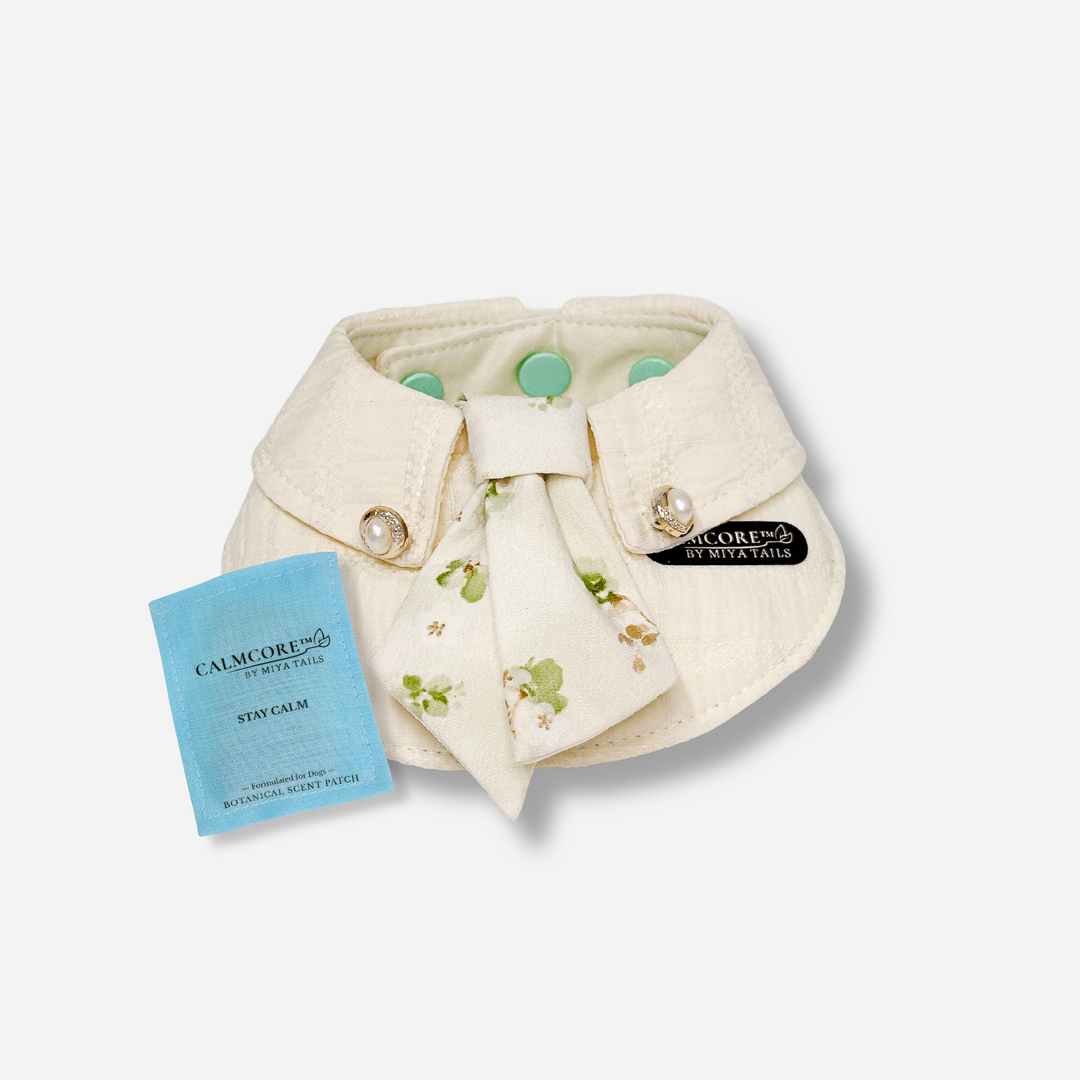 Basic Companion Bib No.08 · Green