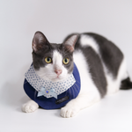 Load image into Gallery viewer, Linen Bib No.05
