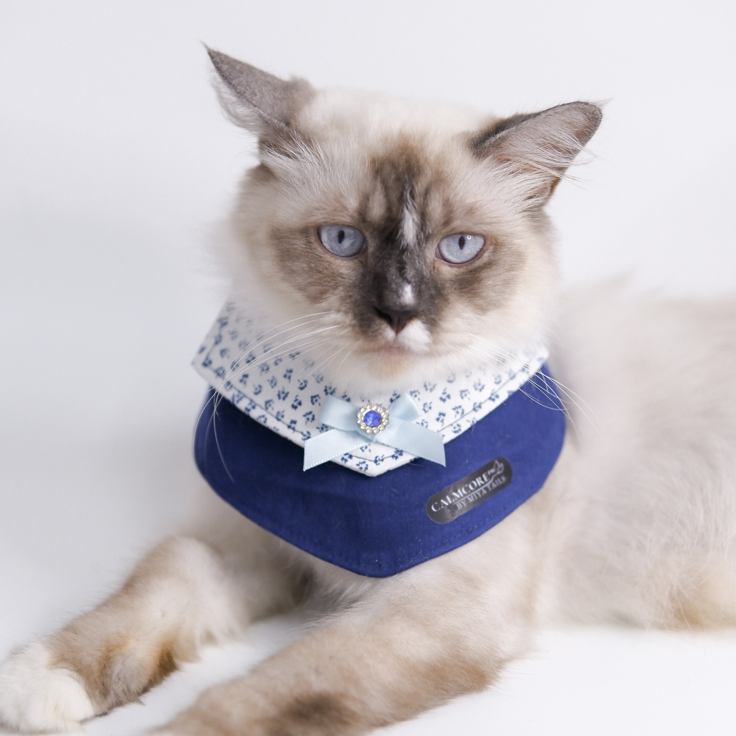 CalmCore™ · Frosted Serenity