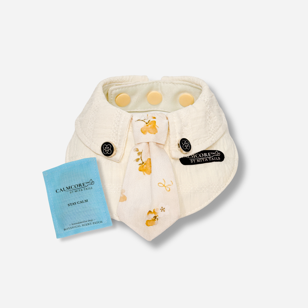 Basic Companion Bib No.05 · Yellow