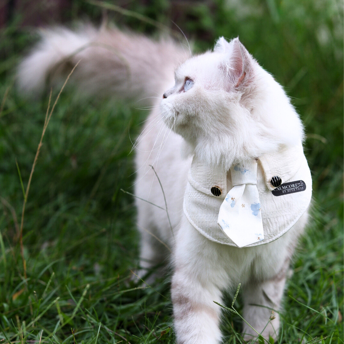 13_1628bcc4 69c8 4d41 b1e4 a09f5c93b93a