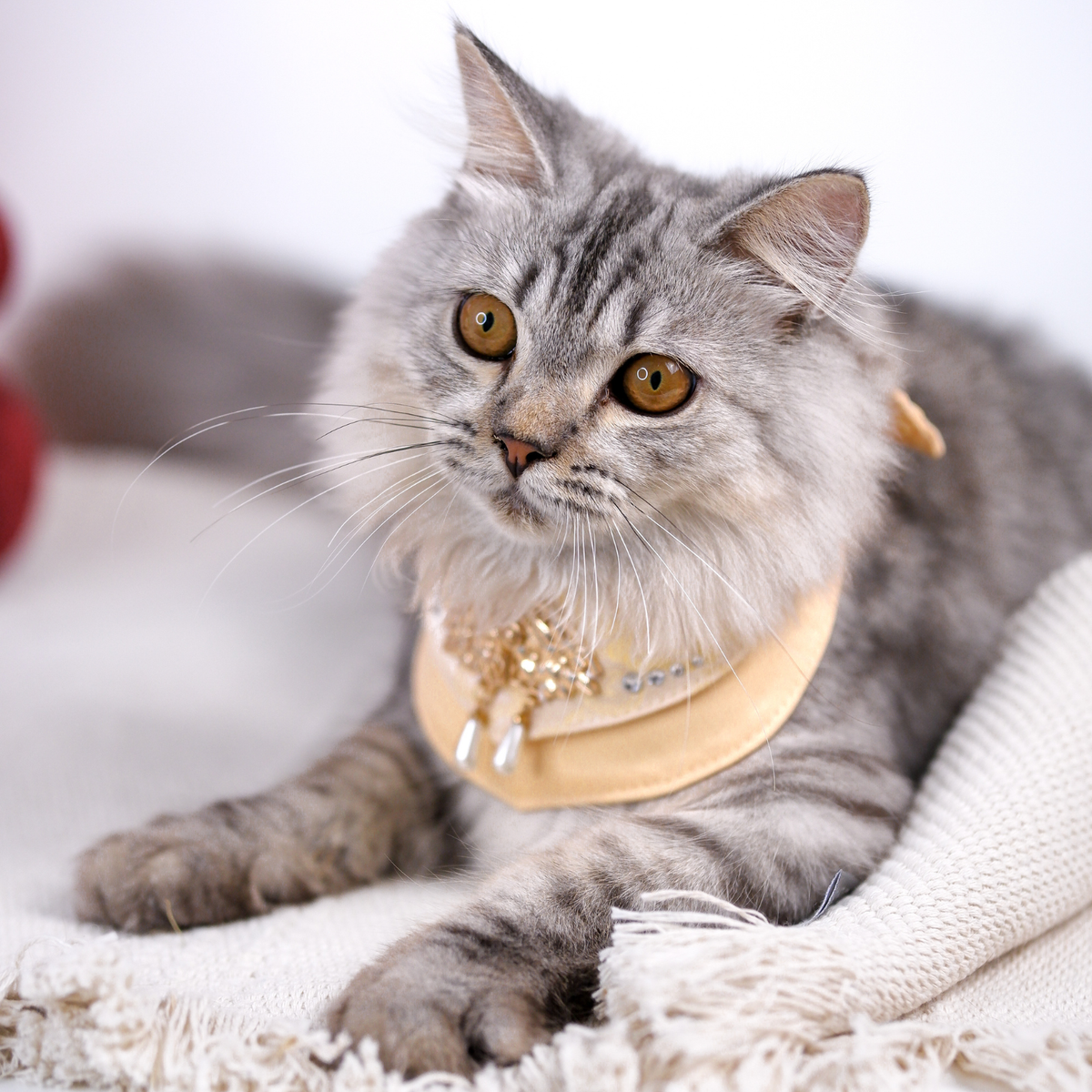 14_31496c53 9eae 4fd2 a6a7 088b1d29181f