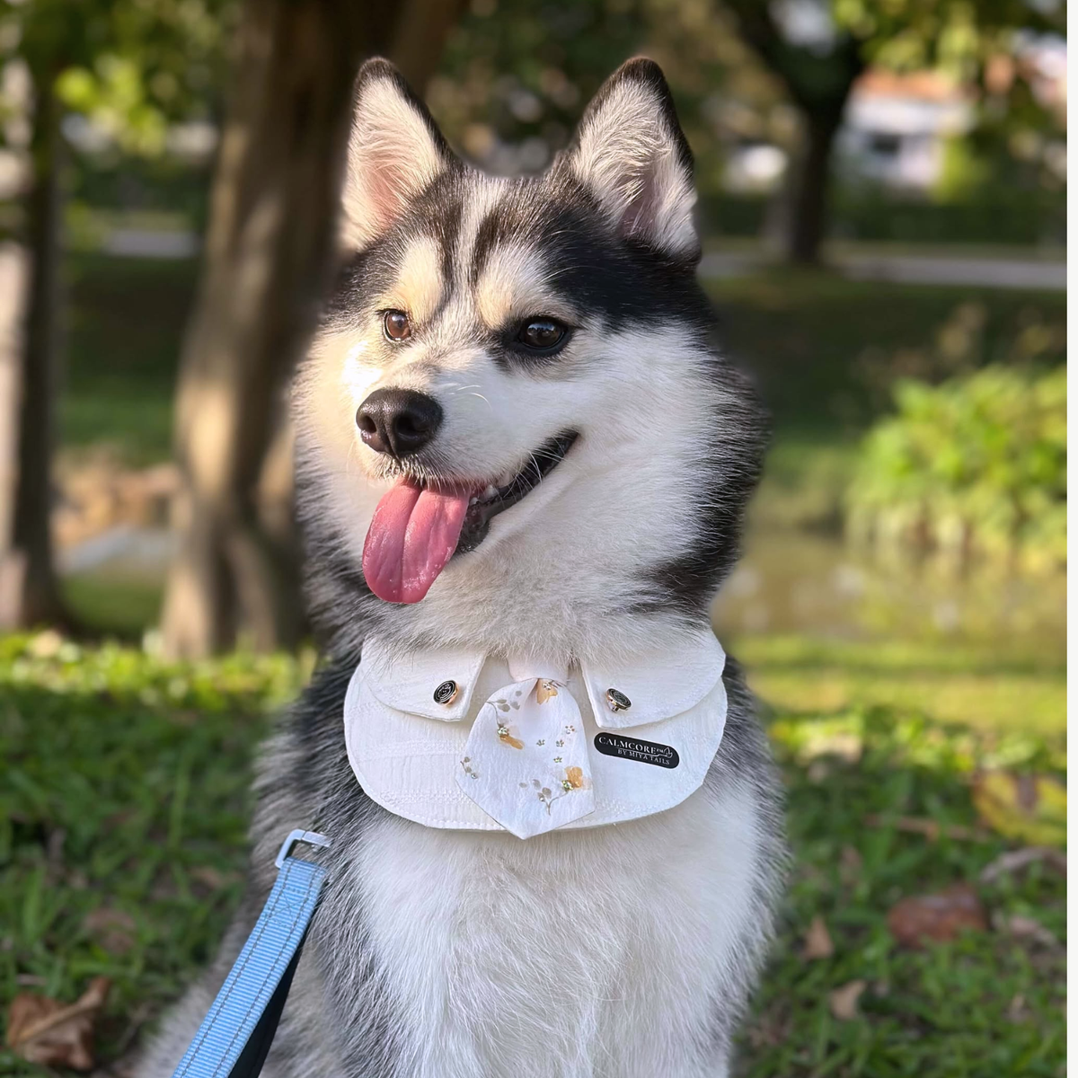 15_4233a339 72d1 4837 a795 52e5c25dd22d