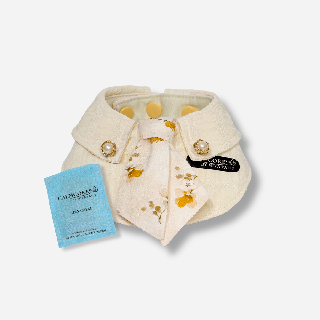Basic Companion Bib No.06 · Yellow