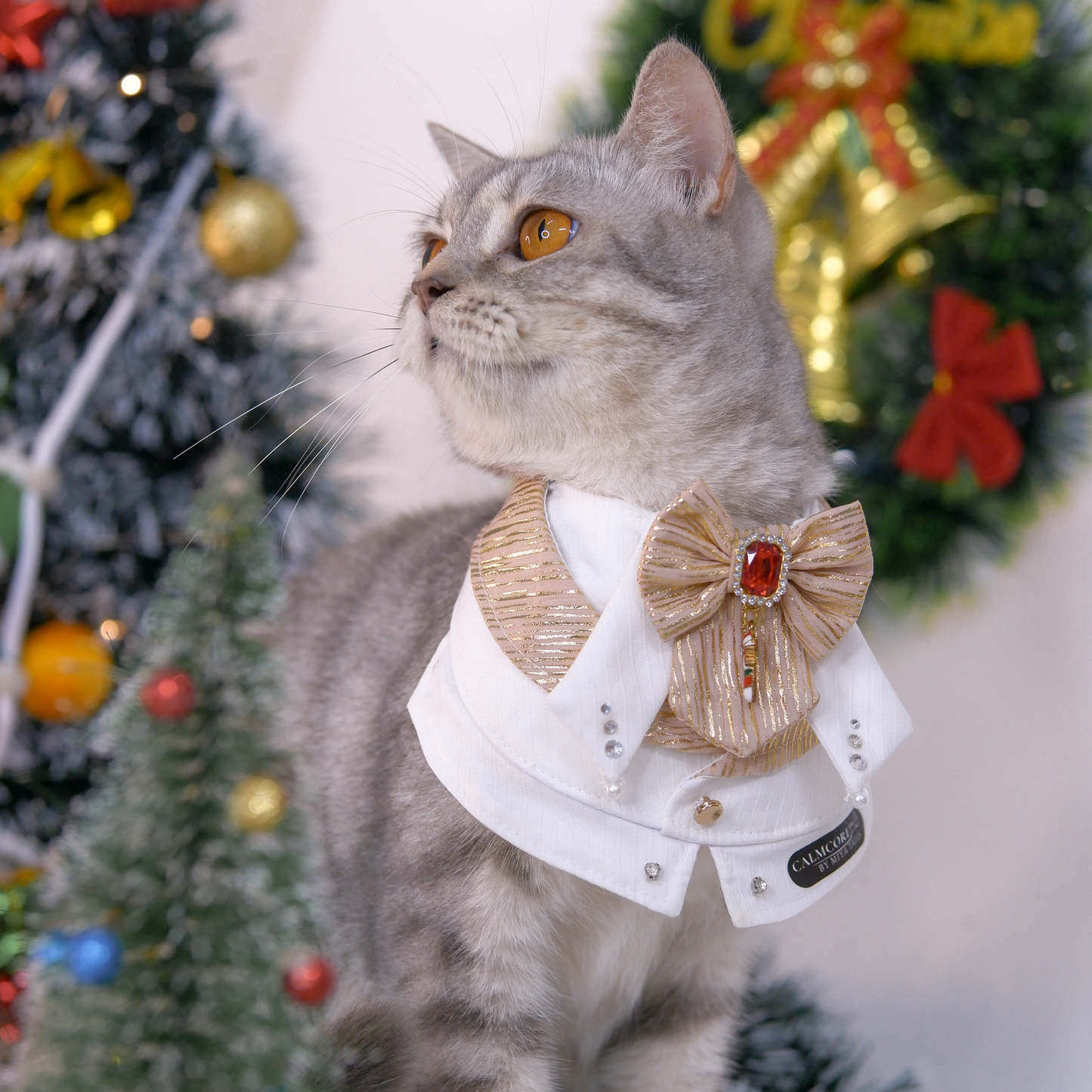 CalmCore™ · Chimson Crown