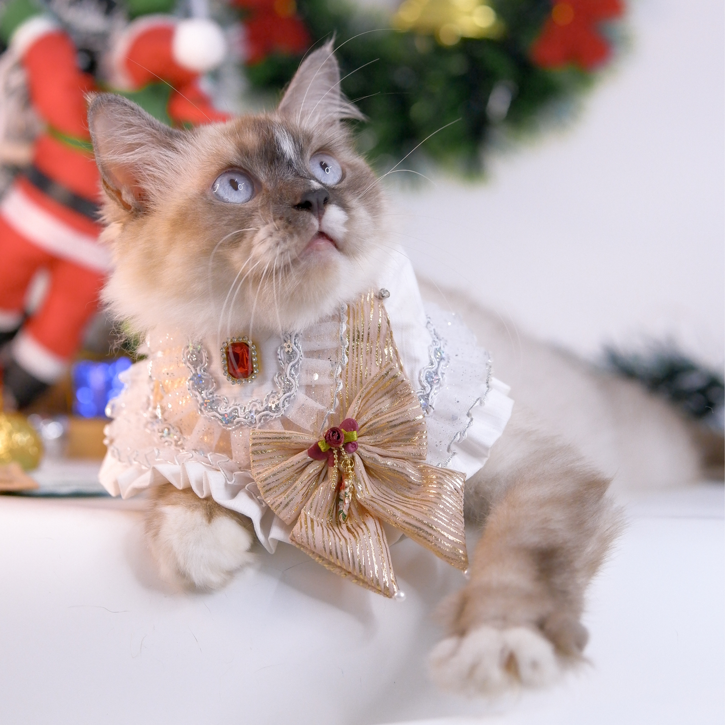 CalmCore™ · Golden Veil