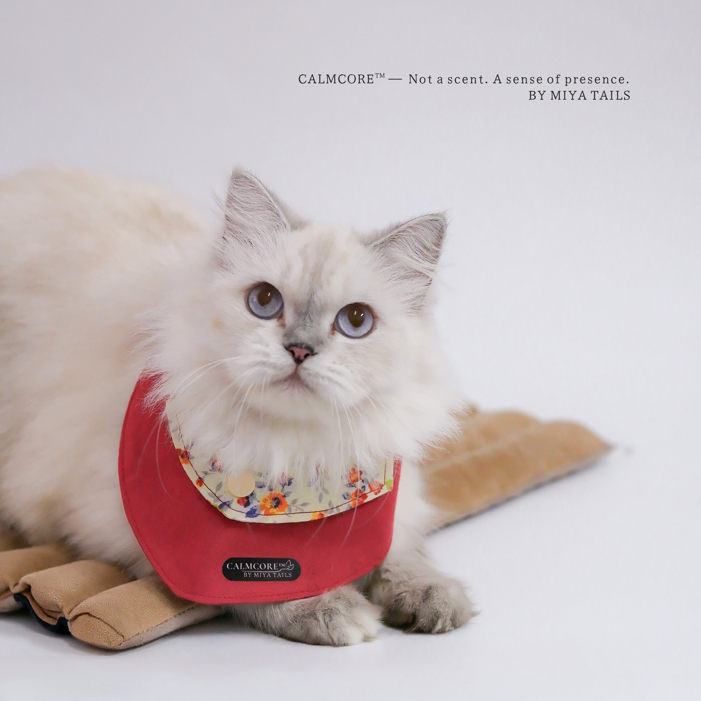 CalmCore™ · First Experience Set