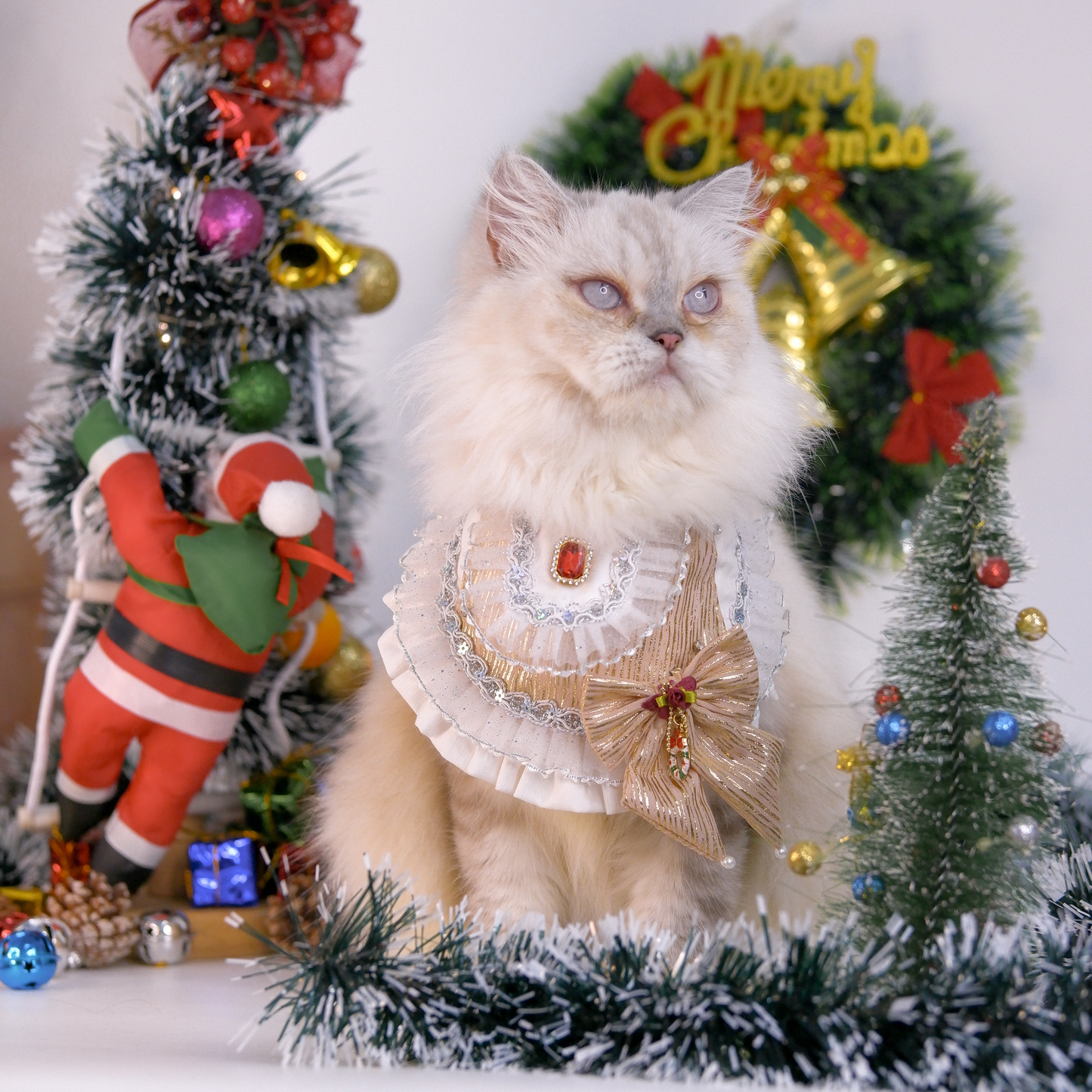 CalmCore™ · Golden Veil