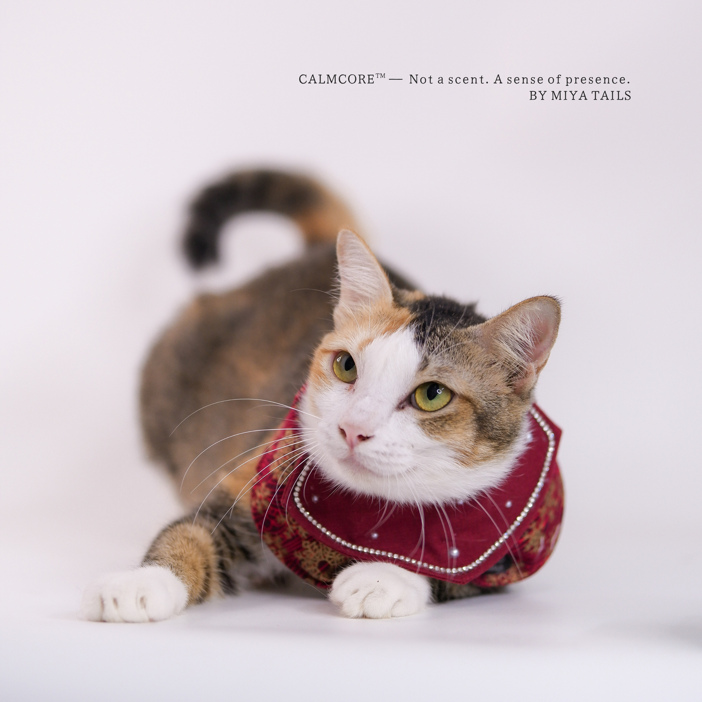 CalmCore™ · Garnet Whisper