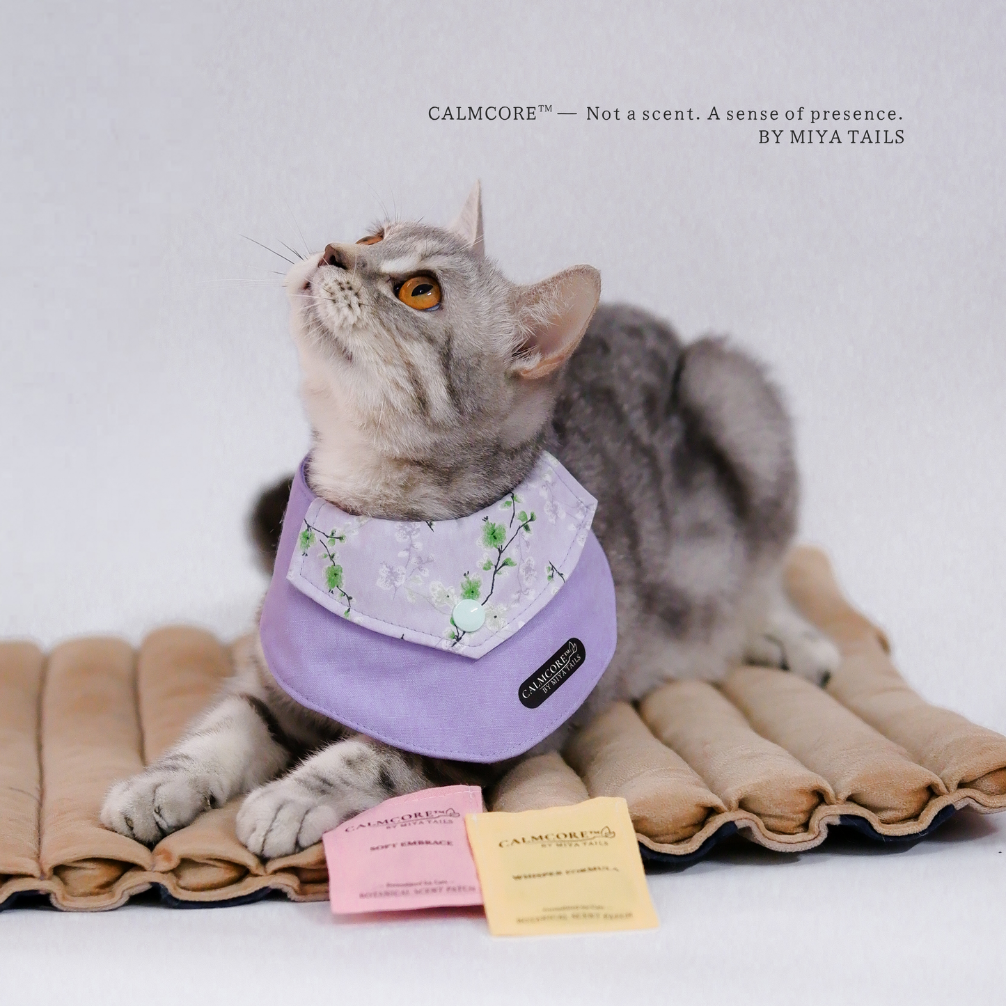 CalmCore™ · First Experience Set