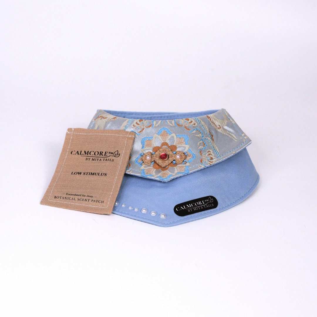Companion Bib No.02 · Pale Blue Stillness