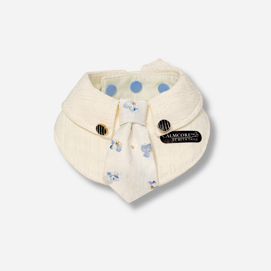 Basic Companion Bib No.01 · Blue