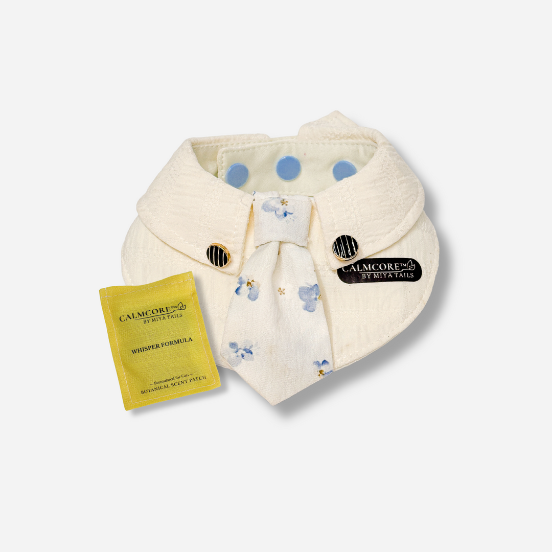 Basic Companion Bib No.01 · Blue