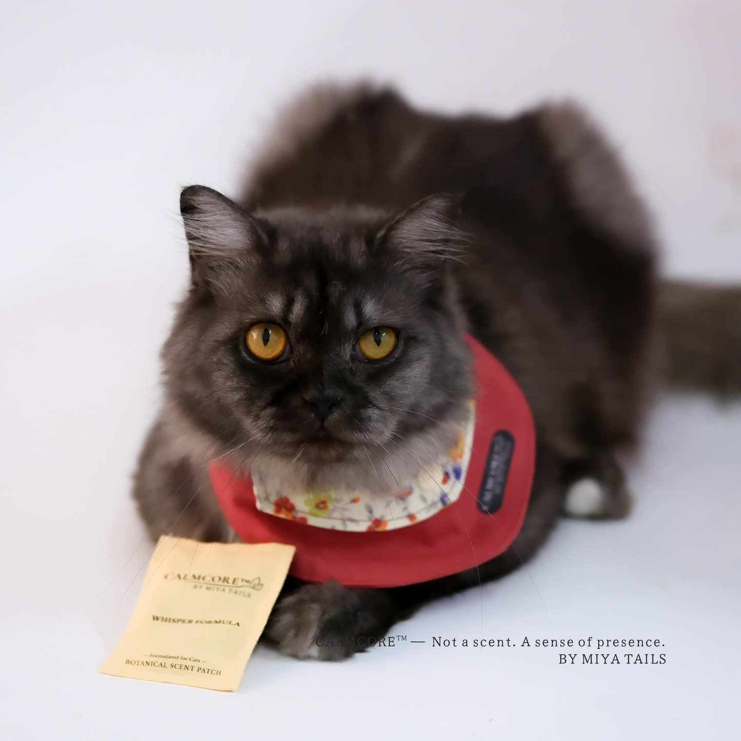 CalmCore™ · First Experience Set