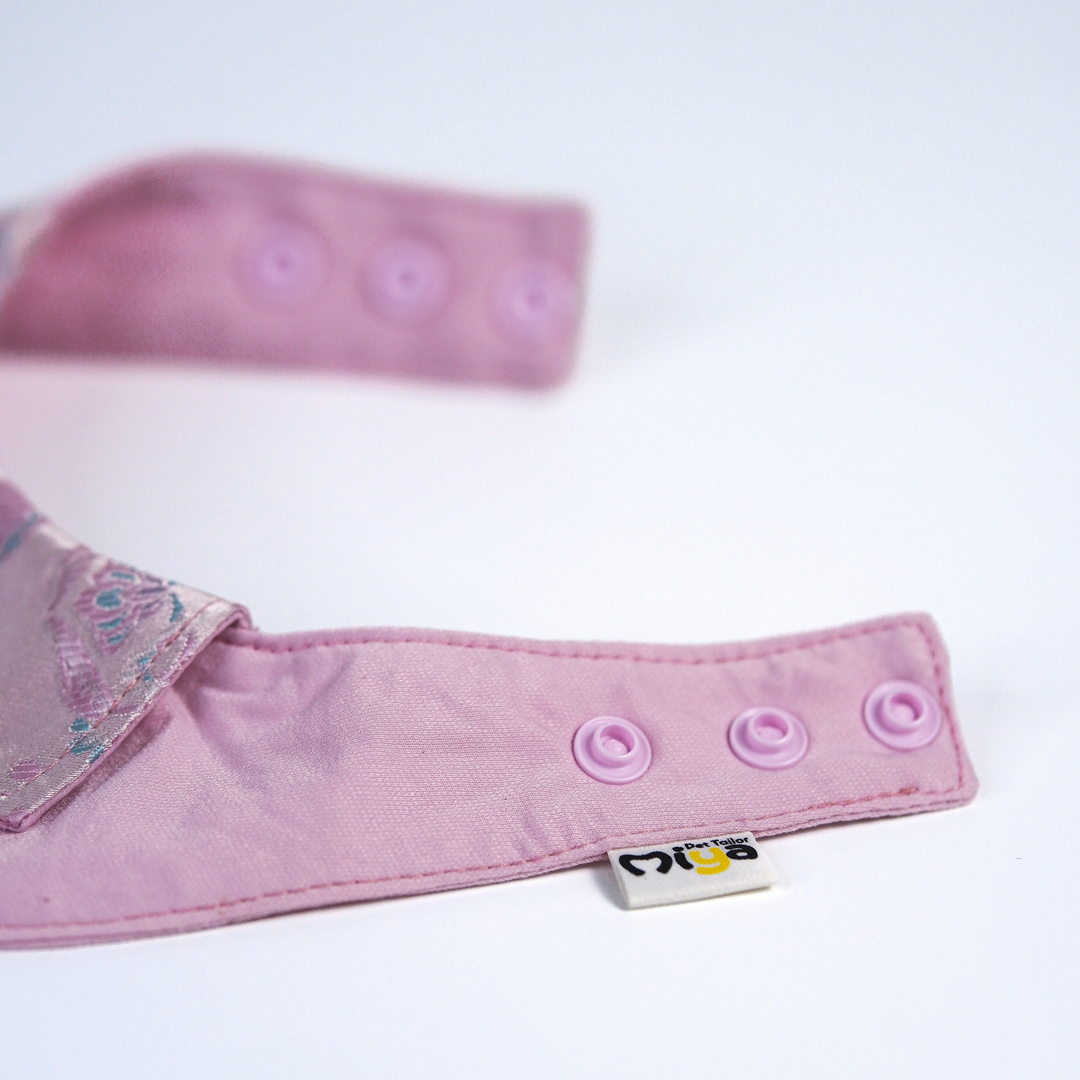 Companion Bib No.01 · Blush Harmony