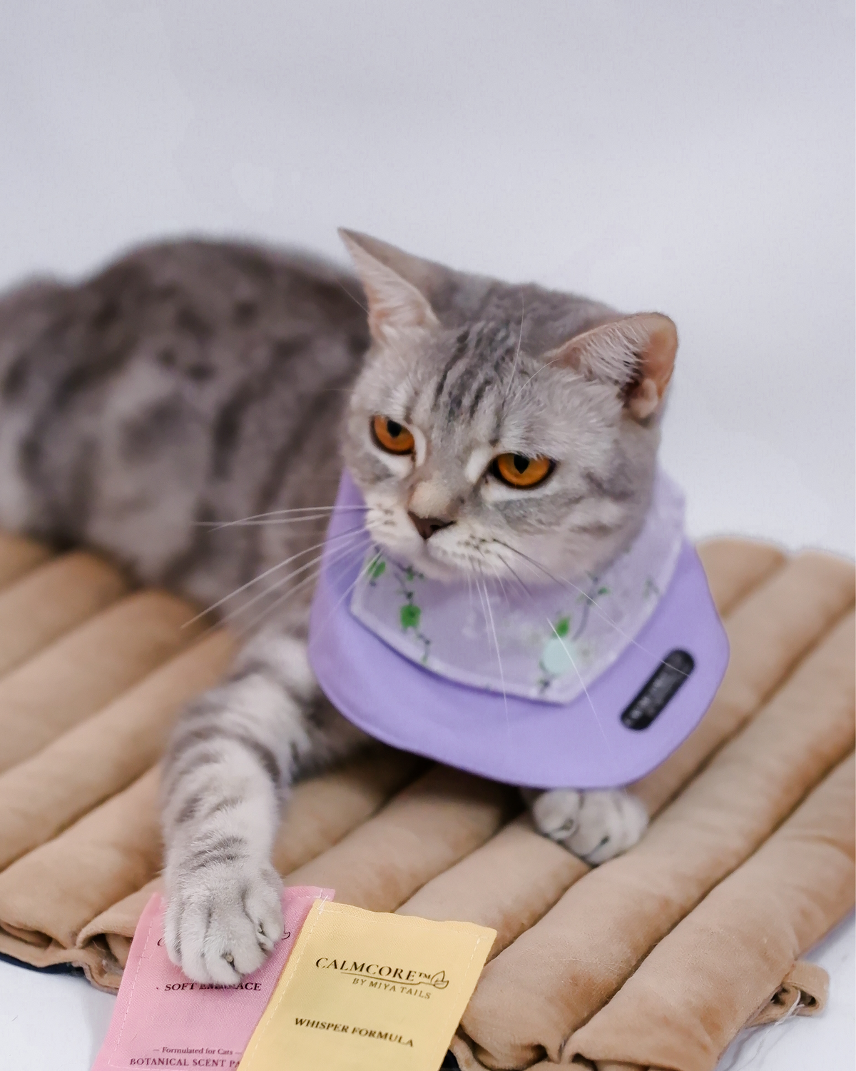 45_acb5fd12 58e6 4c31 941b b1c1f4680c49