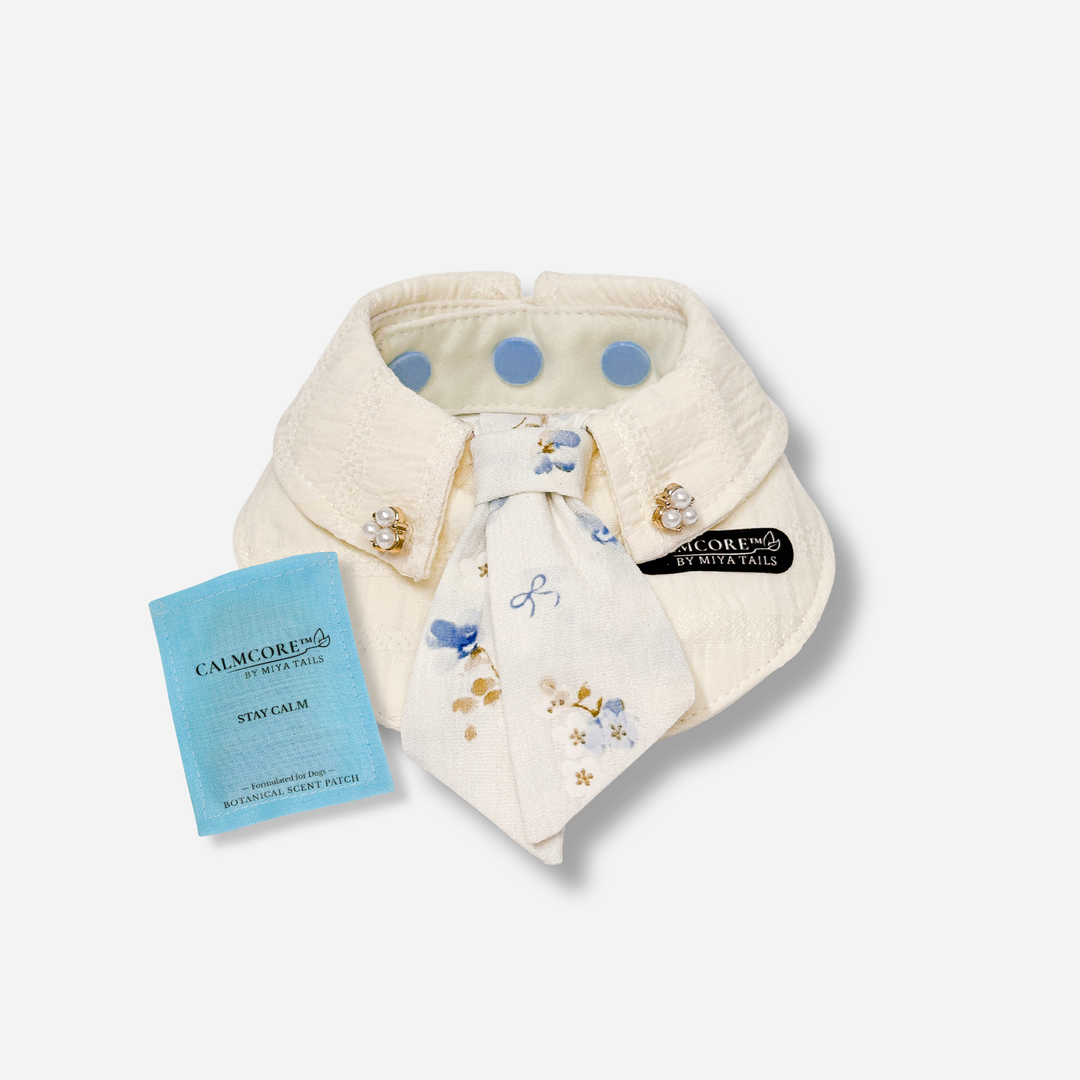 Basic Companion Bib No.02 · Blue