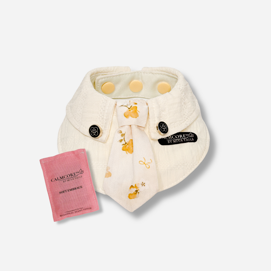 Basic Companion Bib No.05 · Yellow