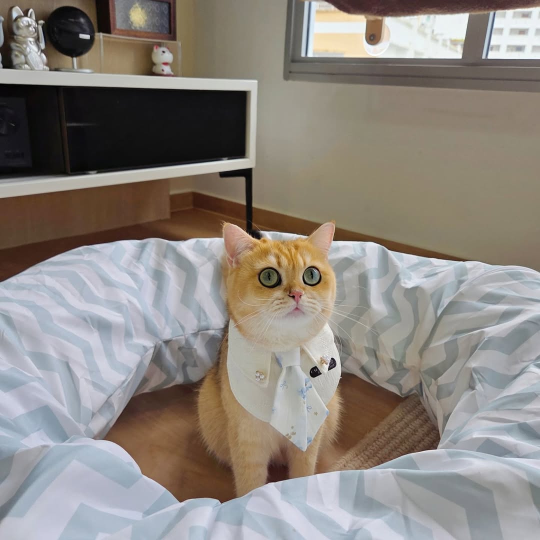 547891134_17909733216216600_7878634827208113300_n