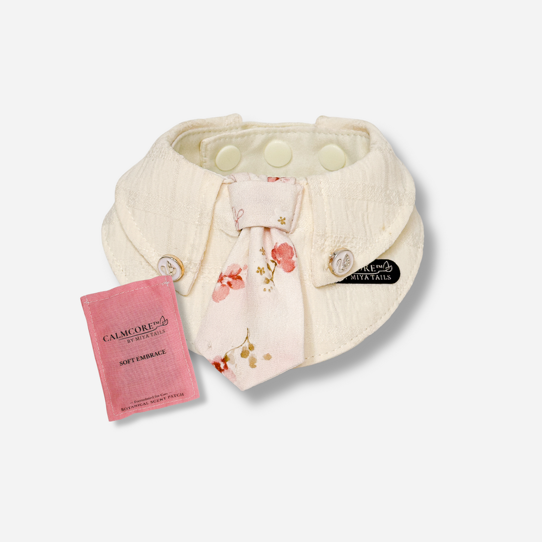 Basic Companion Bib No.03 · Red