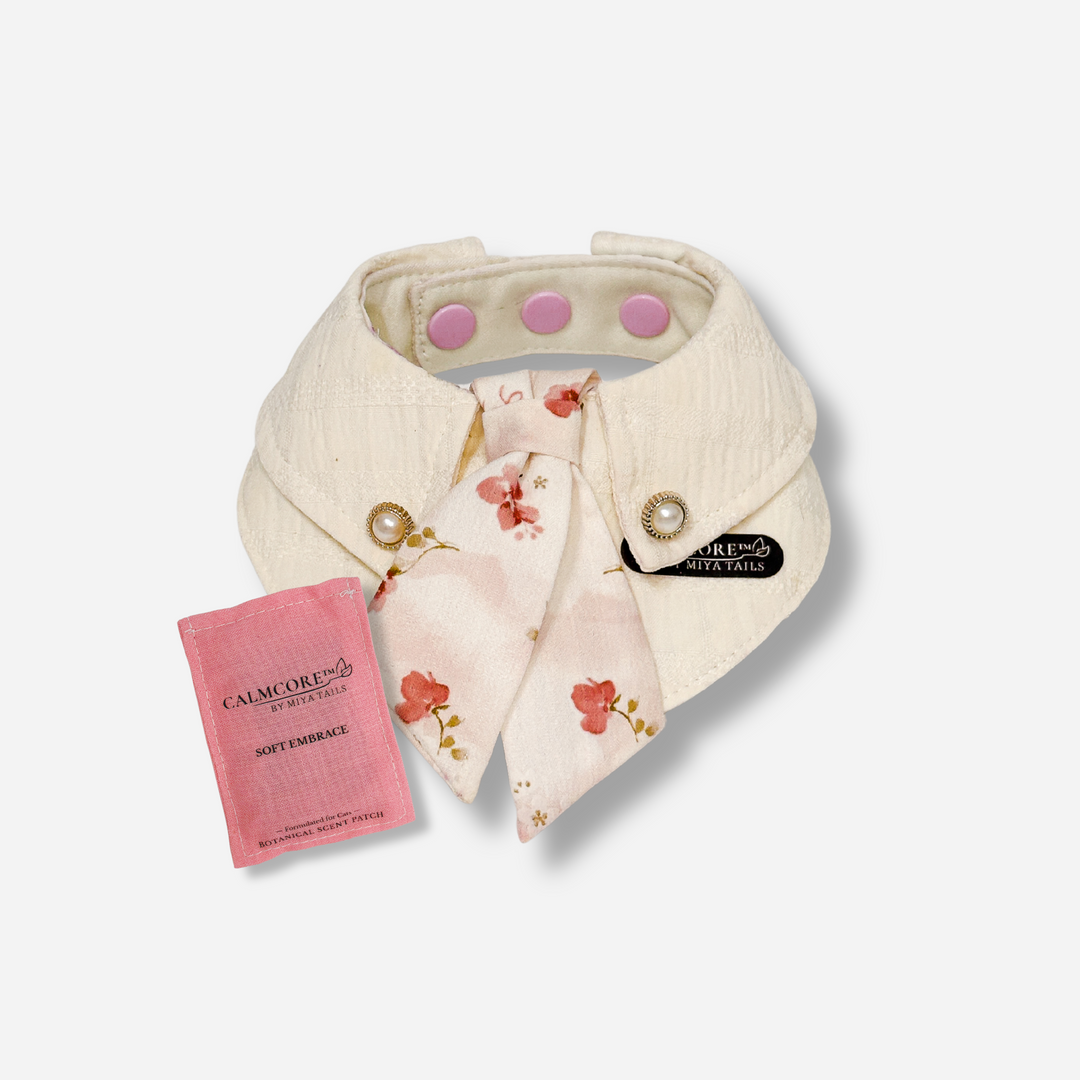 Basic Companion Bib No.04 · Red