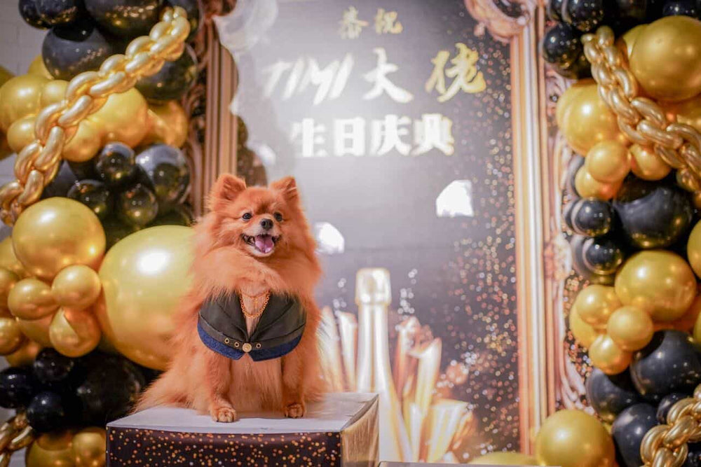 Timi wearing Miya Tails