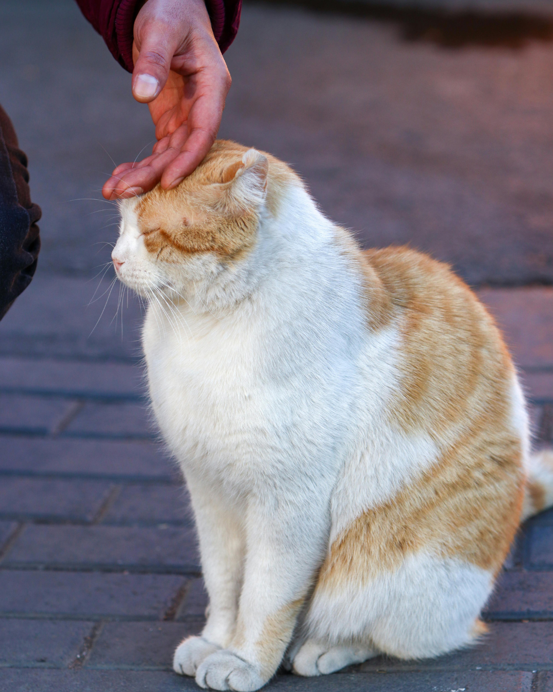 Airflow_passes_through_fabric_layers