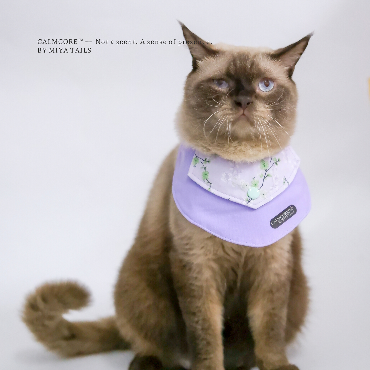 CalmCore™ · First Experience Set