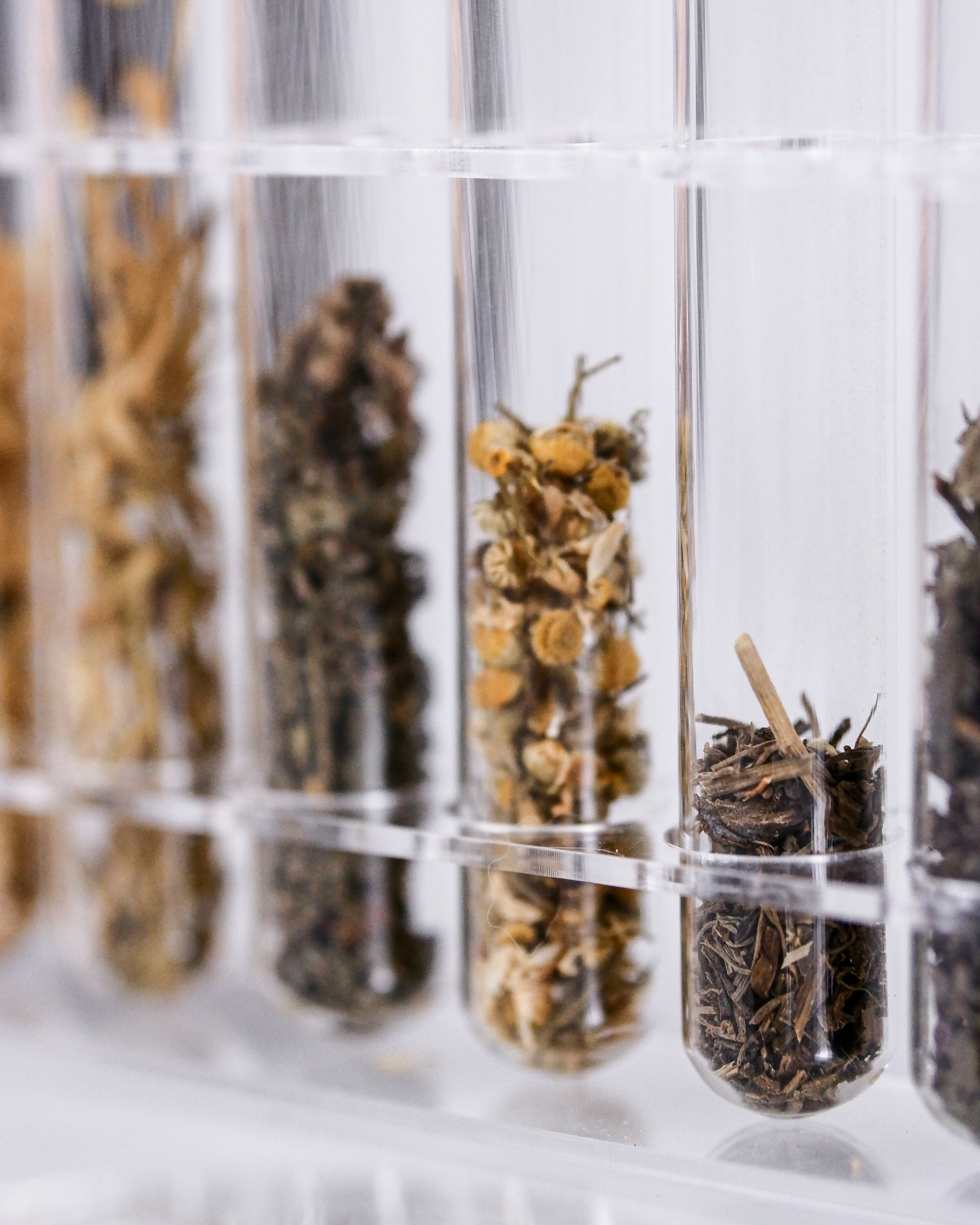 Dry botanical fragments