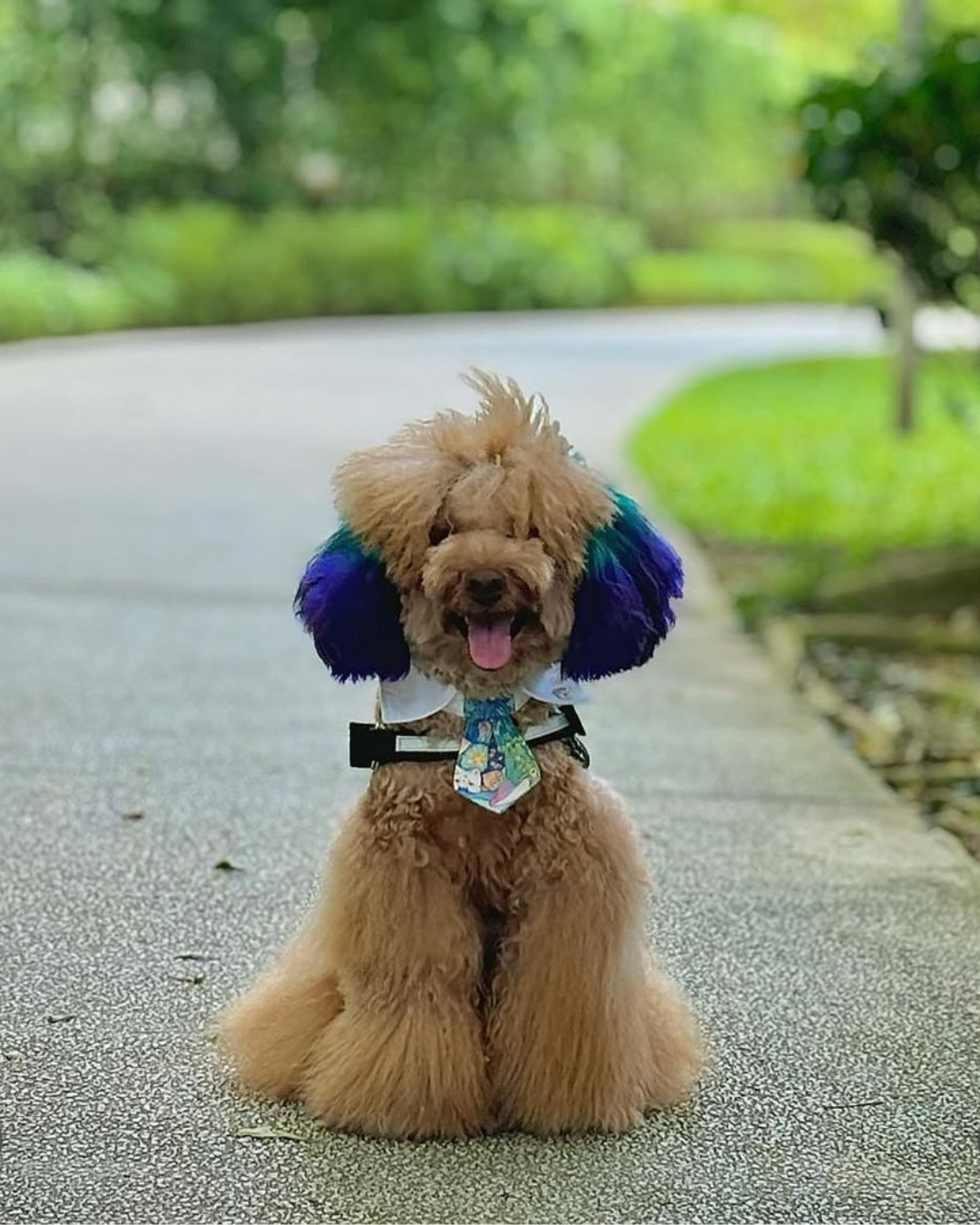 Bruno
