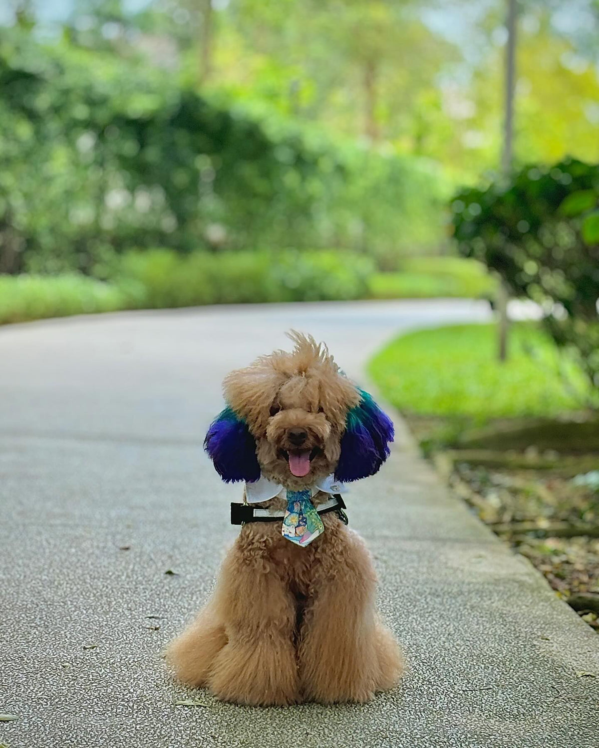 Bruno