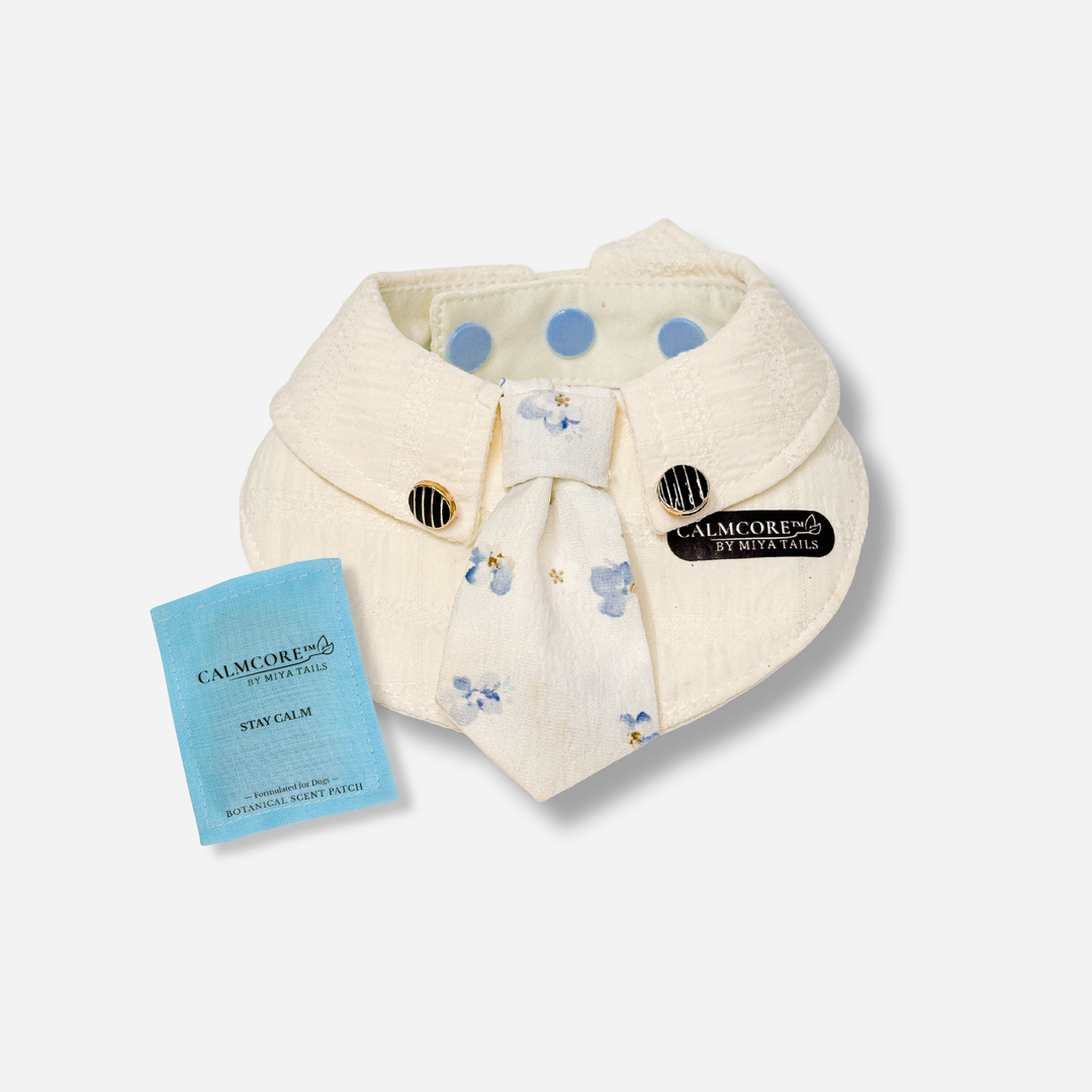 Basic Companion Bib No.01 · Blue