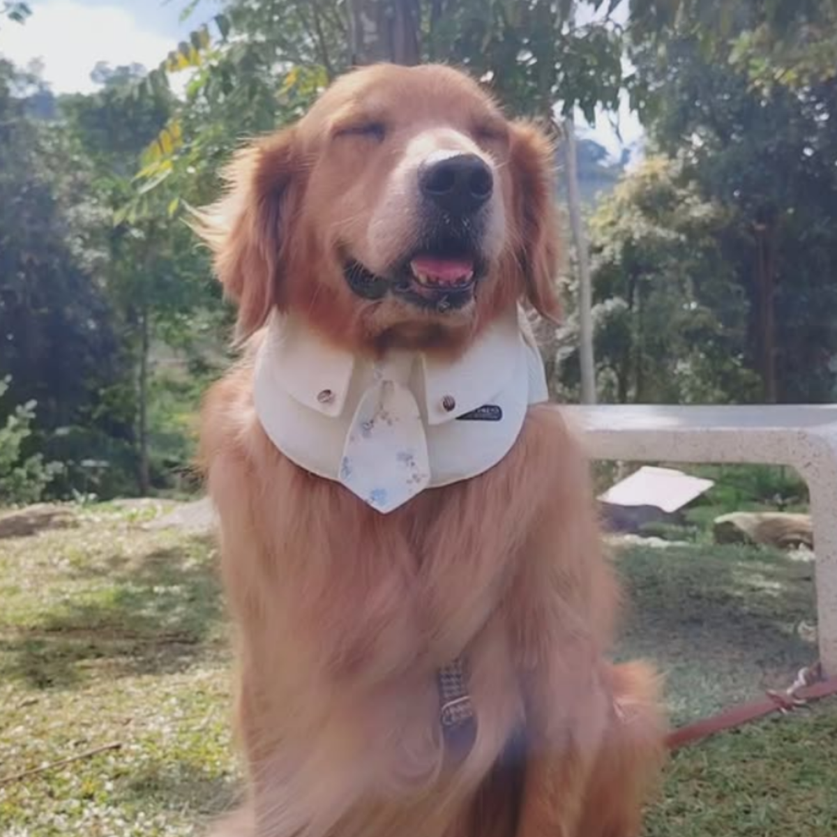 White_minimalist_square_photo_instagram_post_3