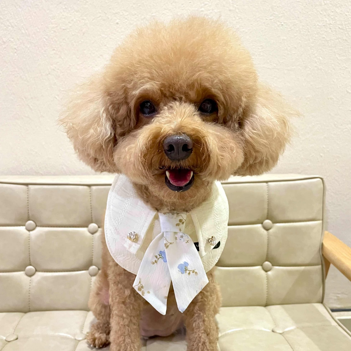 White_minimalist_square_photo_instagram_post_7